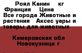  Роял Канин 20 кг Франция! › Цена ­ 3 520 - Все города Животные и растения » Аксесcуары и товары для животных   . Кемеровская обл.,Новокузнецк г.